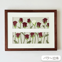 生花の押し花【ダブランチ】 Large ダブランチ