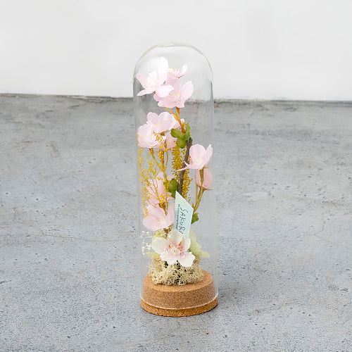 【春限定】春を彩るさくらドームアレンジ