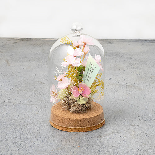 【春限定】春を彩るさくらドームアレンジ