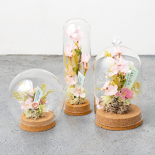 【春限定】春を彩るさくらドームアレンジ