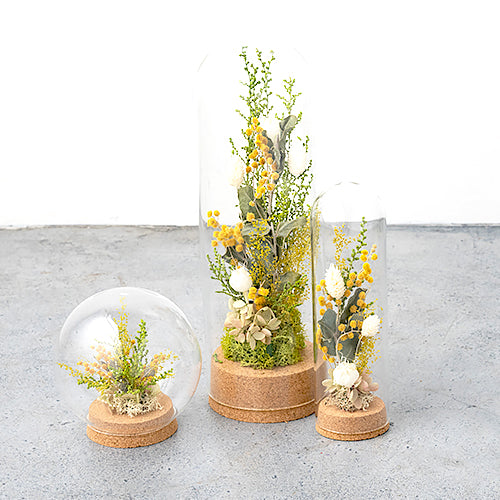 【春限定】春を告げるミモザドームアレンジ