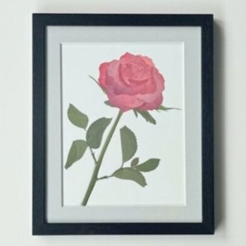 生花の押し花【ダブランチ】EX small