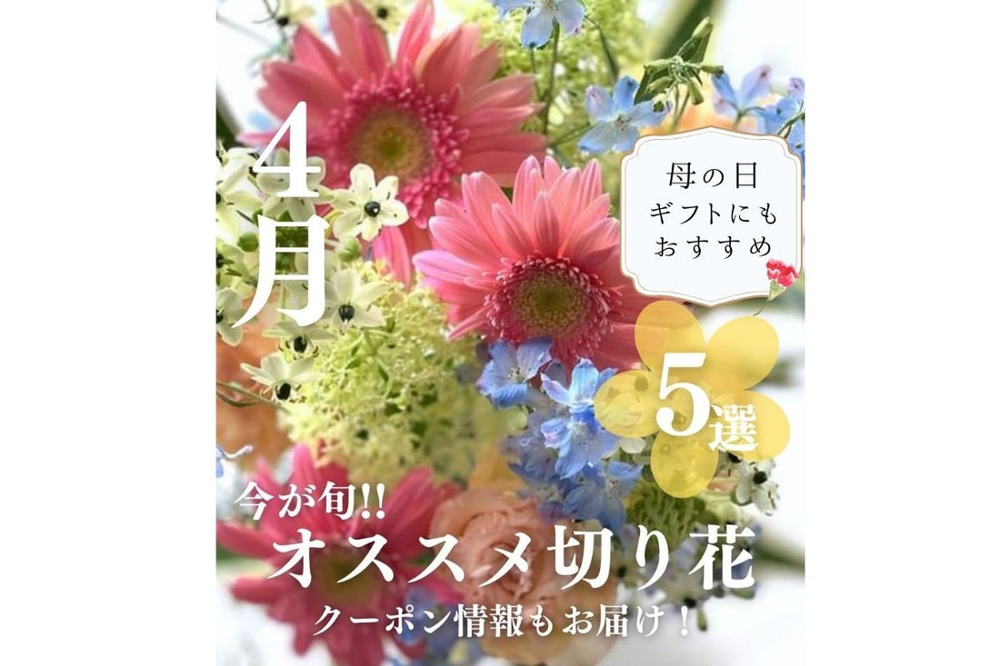 母の日ギフトにもおすすめ パティスリーフラワーお勧めの４月の花５選