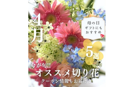 母の日ギフトにもおすすめ パティスリーフラワーお勧めの４月の花５選