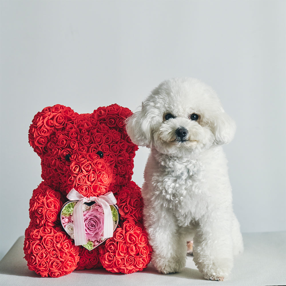 幸せを呼ぶローズテディベア抱っこハートアレンジメント
