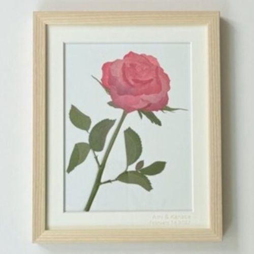 生花の押し花【ダブランチ】EX small