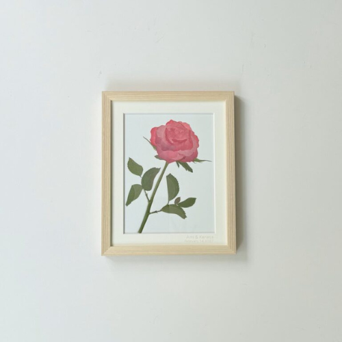 生花の押し花【ダブランチ】EX small