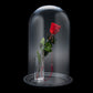 ホテルでプロポーズ Specialダイヤモンドローズ 花びらメッセージ+フラッグ装飾セット